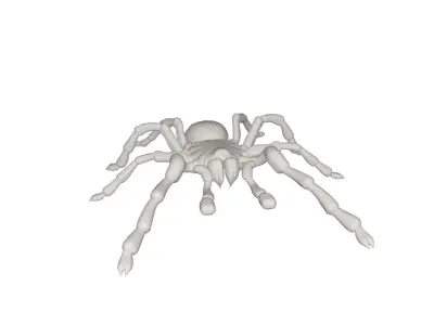 Tarantulas spider 3D model