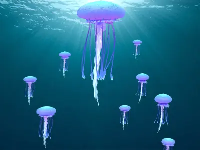 Point Cache animated jellyfish  3D model