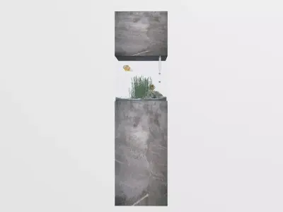 aquarium in the style of minimalism Low-poly 3D model