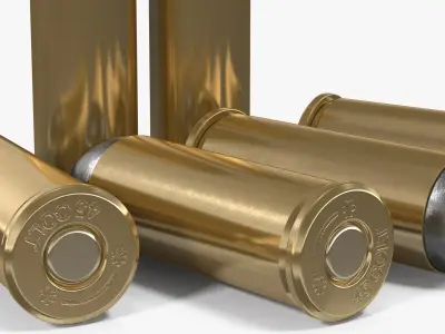 Cartridges .45 Colt 3D model