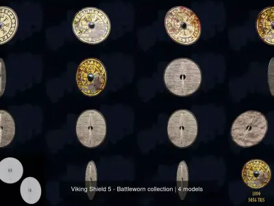 Viking Shield 5 - Battleworn collection 