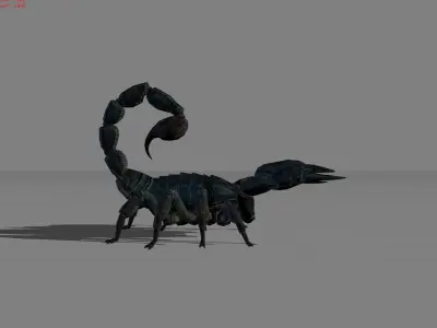 Realistic Scorpion Animal Low-poly 3D model