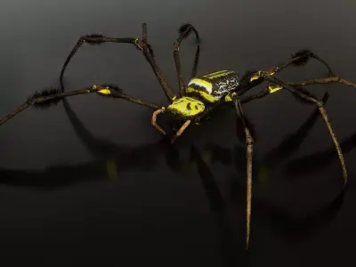 Trichonephila - Golden Silk Orb-weaver Low-poly 3D model