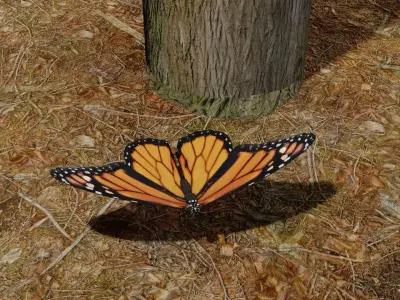 Butterfly clock 3D model