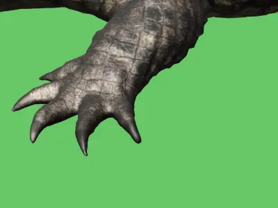 3D Model crocodile alligator Low-poly 3D model Low-poly 3D model