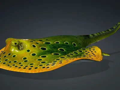 Ray Fish-A2 3D model