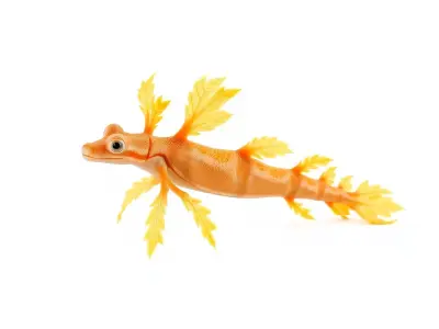Orange Leafy Seadragon model pack Low-poly 3D model