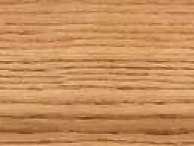 Agape include in Fish 3D model