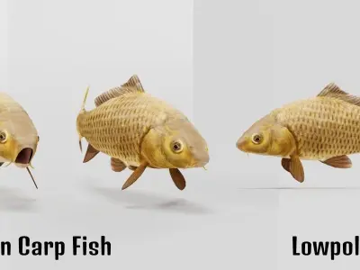 European Carp Fish Low-poly 3D model