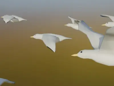 Background Birds Seagull Flock Animation V5 Low-poly 3D model