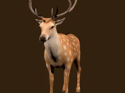 Fawn Deer Rig 3D model