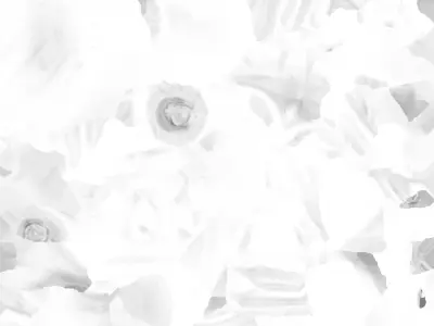 Owl Decoration Scan 4K 3D model