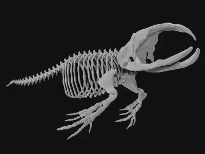 Bowhead Whale Skeleton 3D model