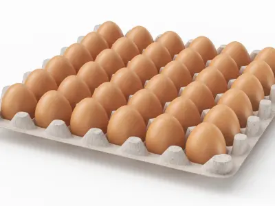Egg Carton 3D Model purchase