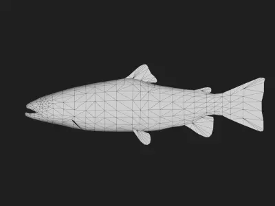 BrookTrout Low-poly 3D model