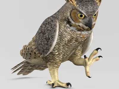 Great Horned Owl - Folded Wings 3D model