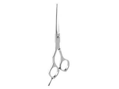 Scissors(1) 3D model