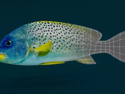 Coral Reef Fish Collection Animated - Game Ready pack 1 Low-poly 3D model