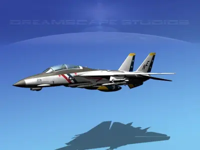 Grumman F-14D Tomcat T04a VF2 3D model