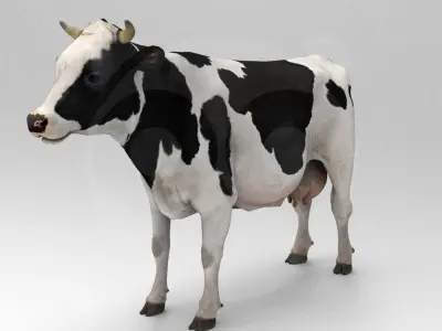 White Cow - Rigged - Animated 3D model