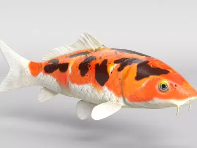 Koi Fish Low-poly 3D model