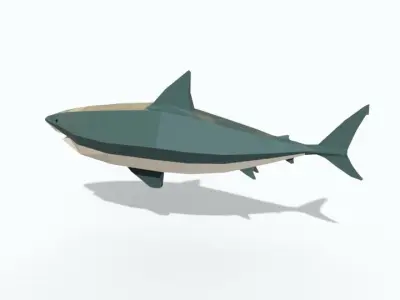 Low Poly Shark Free 3D model