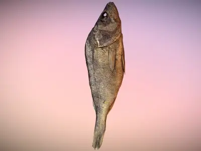 photorealistic scanned dried fish  Low-poly 3D model