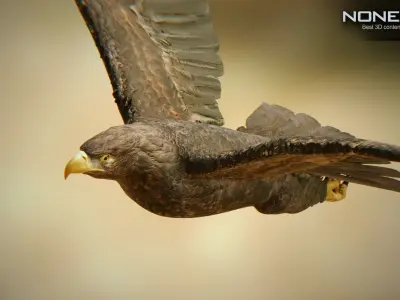 Golden Eagle v3 - Unity Low-poly 3D model