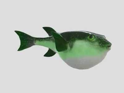 Grass Puffer Realistic Animated Low-poly 3D model
