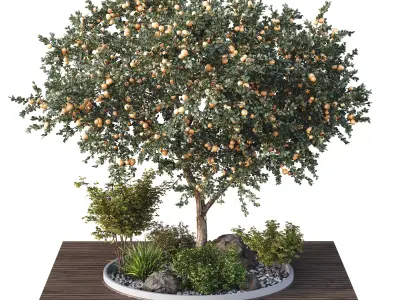HQ Tree and bush garden box outdoor VOL 01 Free 3D model