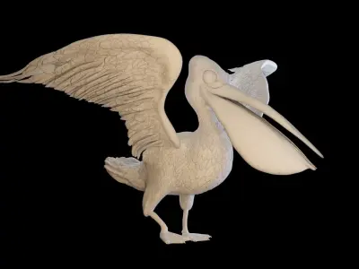 Pelican 3D model