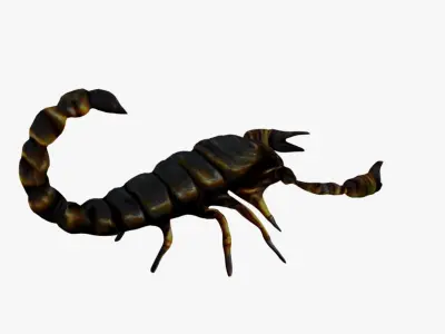 Scorpion Free 3D model