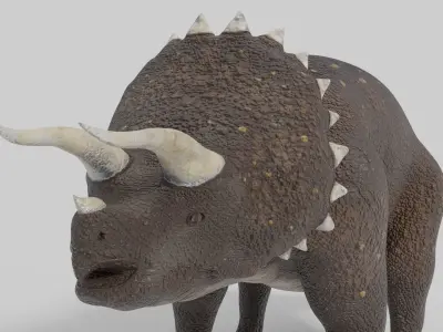 3D Triceratops Model dinosaur Low-poly 3D model