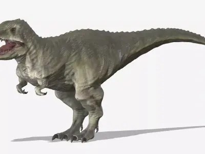  Tyrannosaurus 02 Low Poly PBR Realistic Low-poly 3D model
