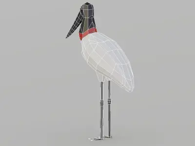 Low Poly Bird stork Low-poly 3D model