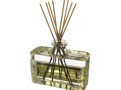  Glass Reed Diffuser Home Decor Model 