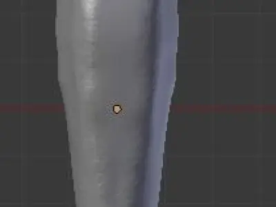 Dolphin Delfin Base 3D model