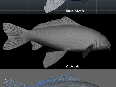 Koi-Fish orange fish swimming in pool 3D model