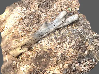 A beautiful tree log surrounded by dried leaves 3D model