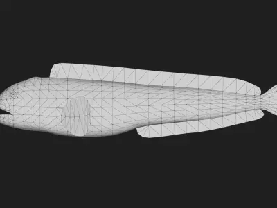 Wolffish Low-poly 3D model