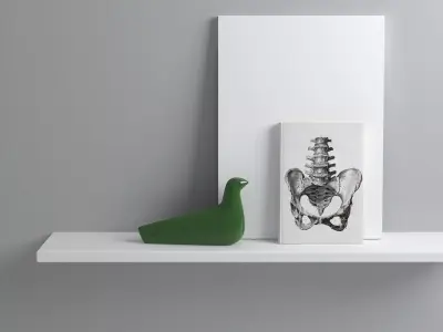 LOiseau Figure Free 3D model