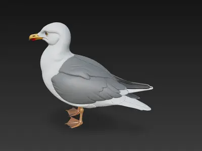 Seagull Realistic 3D Model Basic - Low Poly Realistic Low-poly 3D model
