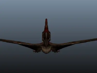 Pteranodon dinosaur flying in sky 3D model