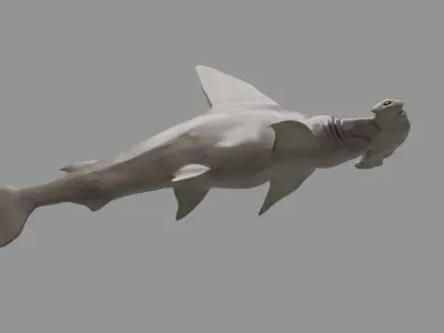 hammerhead shark Low-poly 3D model