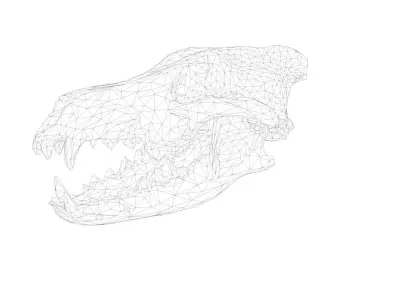 Dire Wolf Skull 3D model