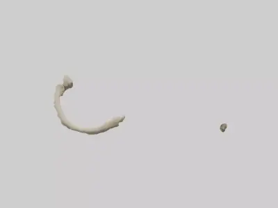 Elephant Humerus 3D model