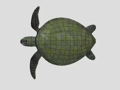 Sea Turtle Low-poly 3D model