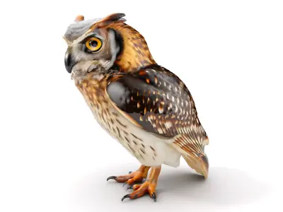 Owl Model Pack Detailed and Versatile Low-poly 3D model
