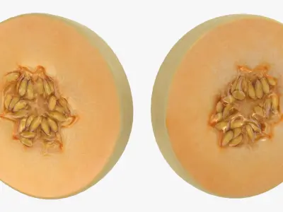 Round Slice Orange Honeydew Melon 3D model