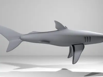 Shark - Blueshark 3D model